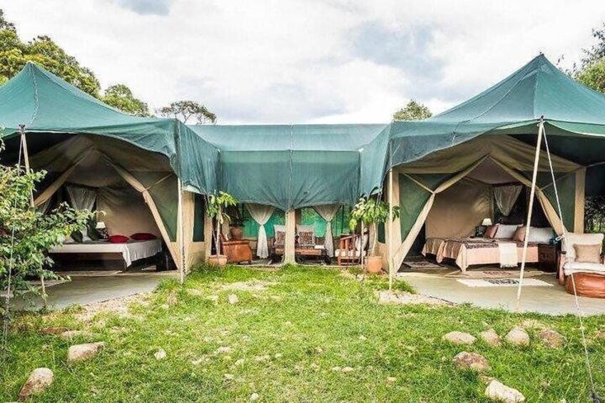 5-Day Maasai Mara-Nakuru joining group Budget