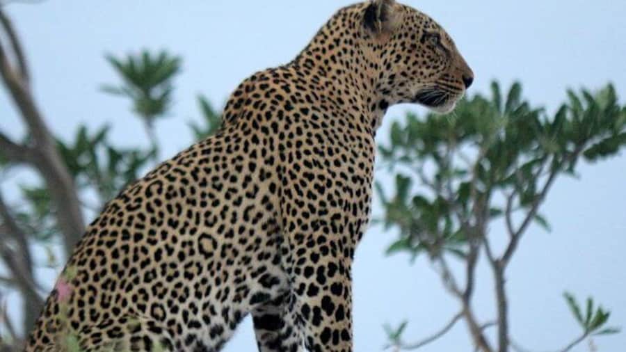 5-Day Maasai Mara-Nakuru joining group Budget