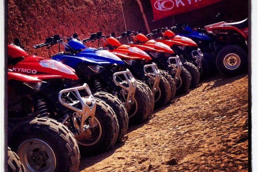 Best Quad Ride at Palmeraie