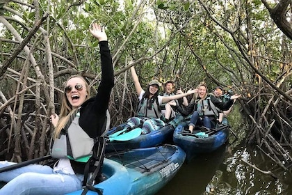 Thousand Island Mangrove Tunnel, Manatee & Dolphin Kayak Tour w/Cocoa Kayak...