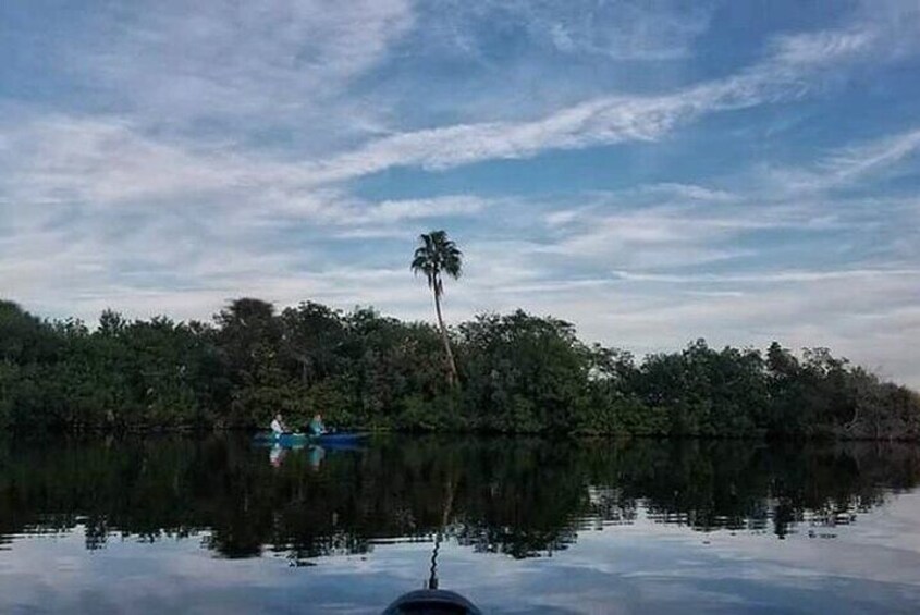 Thousand Island Mangrove Tunnel, Manatee & Dolphin Kayak Tour!