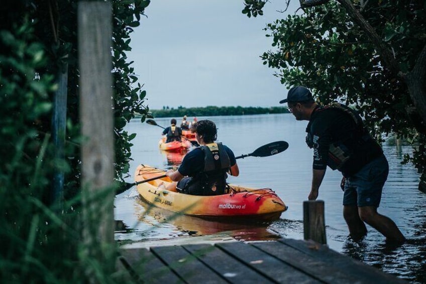 Thousand Island Mangrove Tunnel, Manatee & Dolphin Kayak Tour w/Cocoa Kayaking
