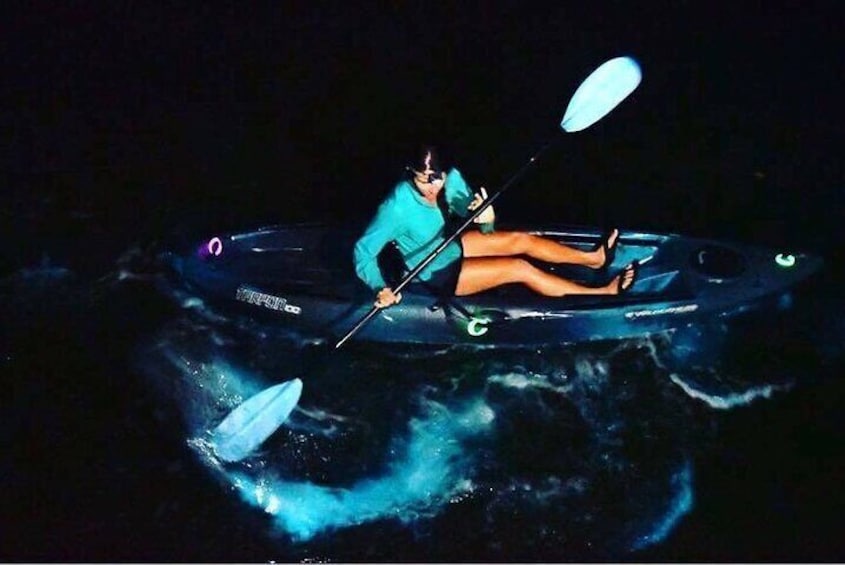 Watch the waterway GLOW around your kayaks and animals!