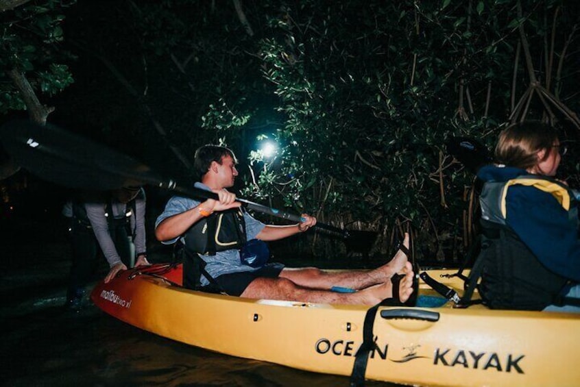 Thousand Islands Bioluminescent Kayak Tour with Cocoa Kayaking!