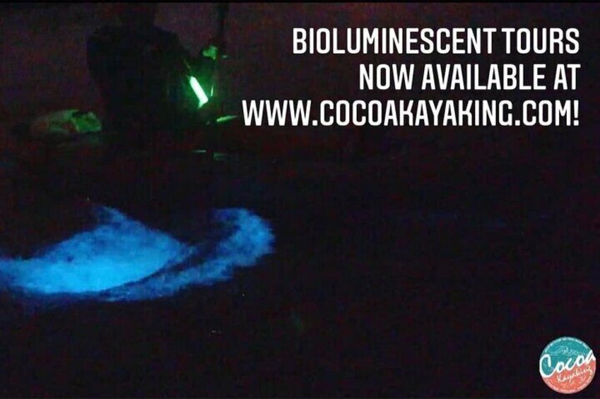 Thousand Islands Bioluminescent Kayak Tour!