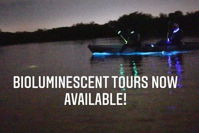 Thousand Islands Bioluminescent Kayak Tour!