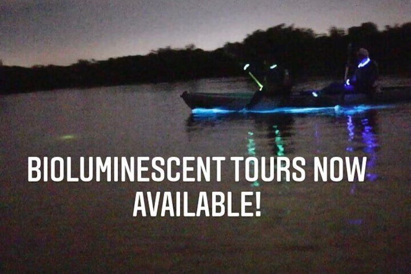 Thousand Islands Bioluminescent Kayak Tour!