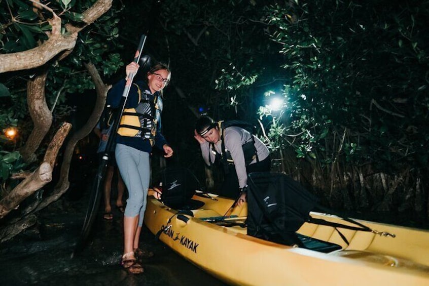 Thousand Islands Bioluminescent Kayak Tour with Cocoa Kayaking!