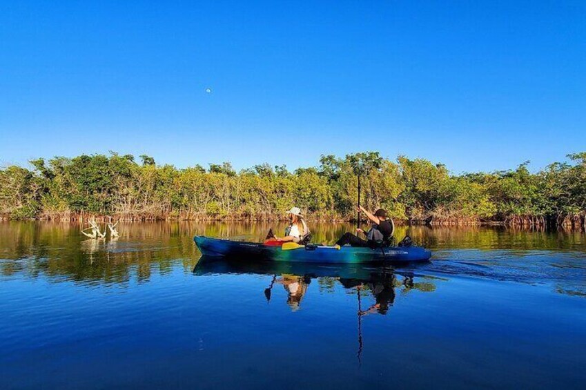 Thousand Islands Mangrove Tunnel and Bioluminescent Comb Jelly Sunset Kayak Tour