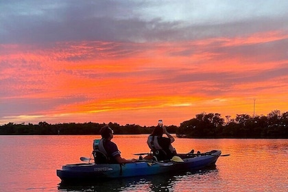 Thousand Islands Mangrove Tunnel & Bio Comb Jelly Sunset Tour