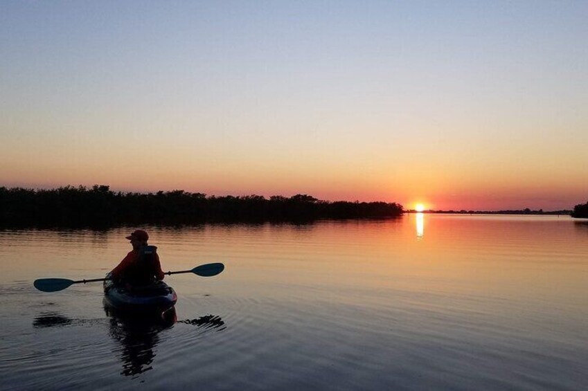 Thousand Islands Mangrove Tunnel and Bioluminescent Comb Jelly Sunset Kayak Tour