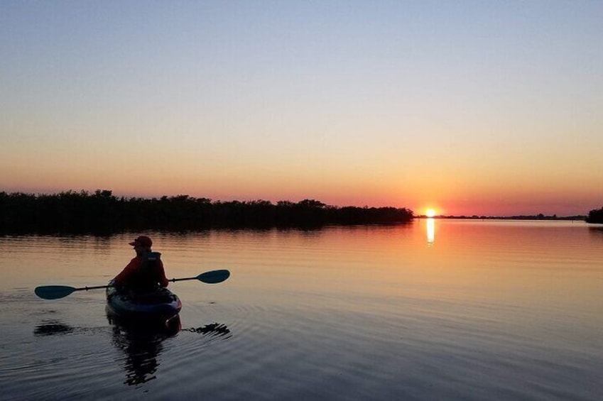 Thousand Islands Mangrove Tunnel and Bioluminescent Comb Jelly Sunset Kayak Tour