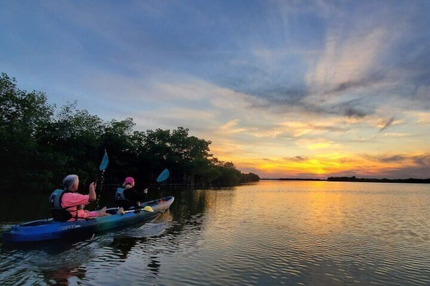 Thousand Islands Mangrove Tunnel Sunset Kayak Tour with Cocoa Kayaking!