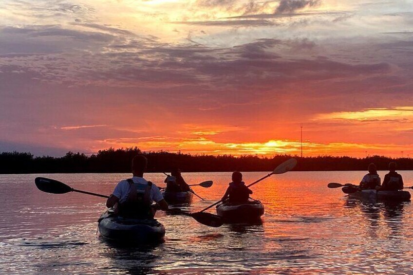 Thousand Islands Mangrove Tunnel Sunset Kayak Tour with Cocoa Kayaking!
