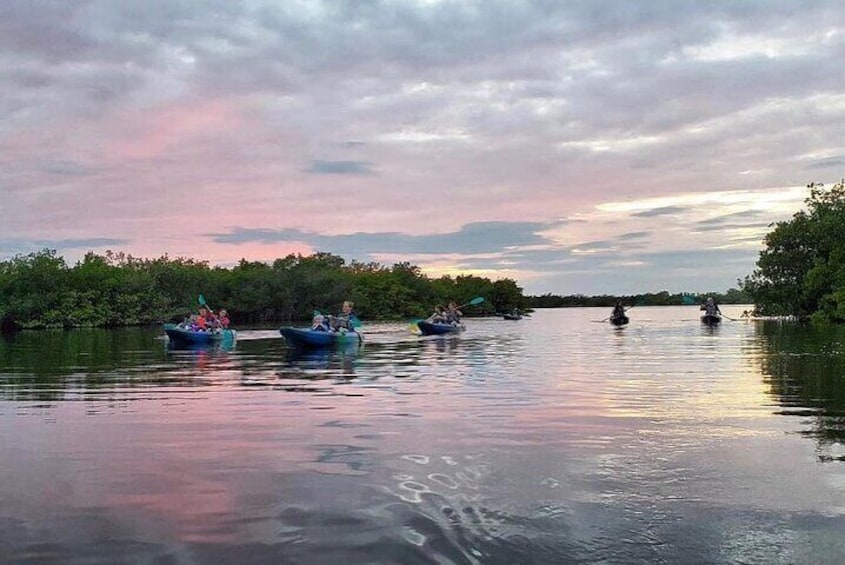Thousand Islands Mangrove Tunnel Sunset Kayak Tour with Cocoa Kayaking!