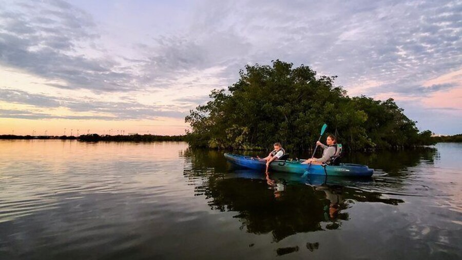 Thousand Islands Mangrove Tunnel Sunset Kayak Tour with Cocoa Kayaking!