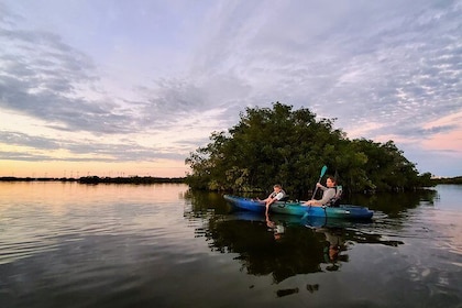 Excursion en kayak au coucher du soleil dans le tunnel de la mangrove des M...