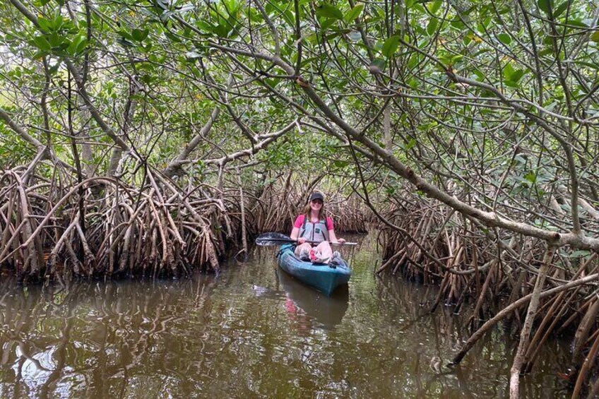 Thousand Islands Mangrove Tunnel Sunset Kayak Tour with Cocoa Kayaking!