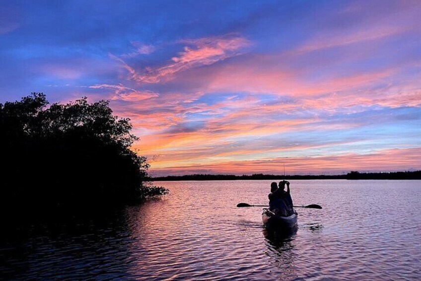 Thousand Islands Mangrove Tunnel Sunset Kayak Tour with Cocoa Kayaking!