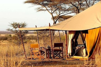 7 days- Southern Tanzania Camping Safari experience