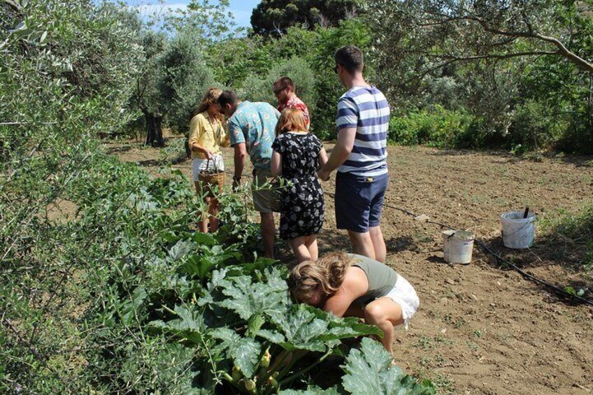 Naxos:Half-day cooking class at Basiliko