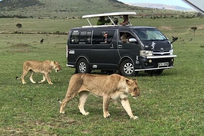 3 Days adventurous Maasai Mara Budget Group Safari