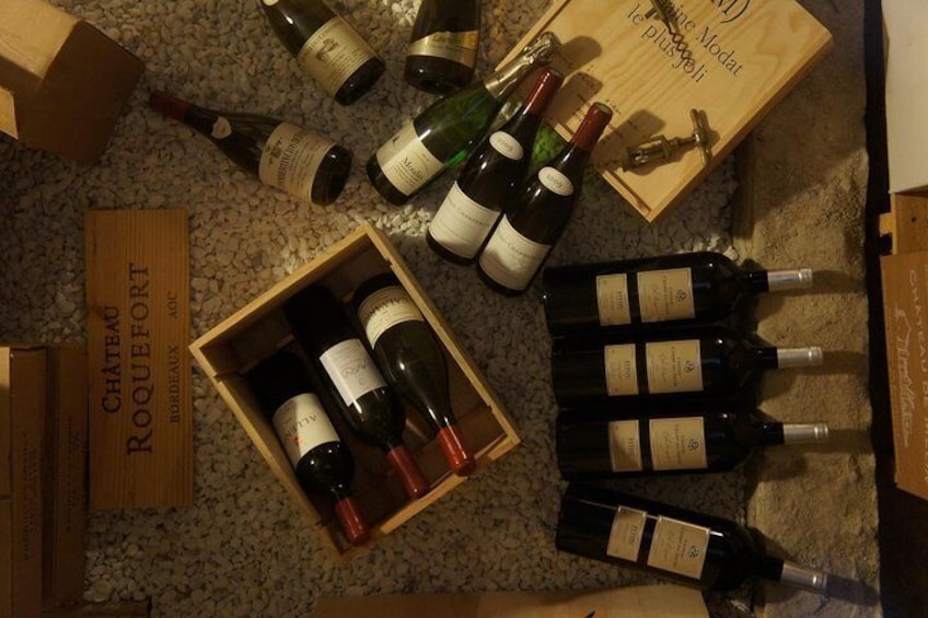 Wine Cellar and Fine Wines