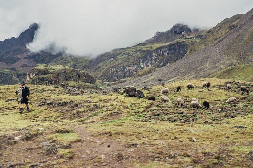 Lares Trek to Machu Picchu (4 Days)