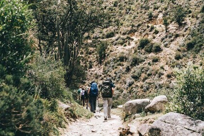Short Inca Trail to Machu Picchu (2 Days)
