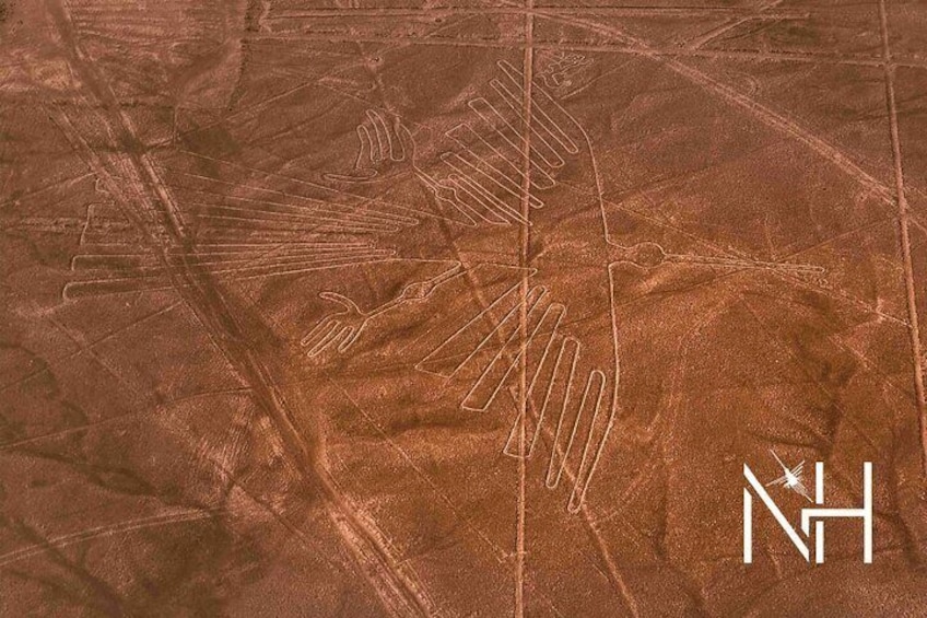 The Nazca Lines flight from Pisco Airport & The Huacachina Oasis