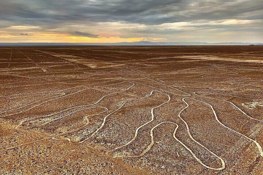 Amazing Nazca Lines, Huacachina Oasis & Sandboarding from Lima (Small Group)