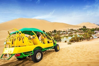 The Huacachina Oasis, Dune buggy & Ballestas Islands - from Lima