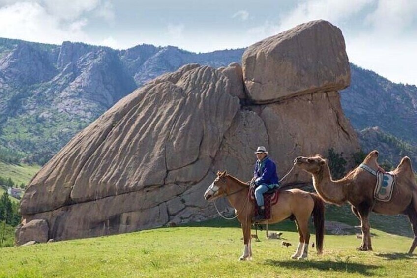 The legendary turtle rock