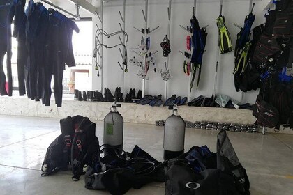 Diving Package: mask, BCD, regulator, suit, fins, boots, weights