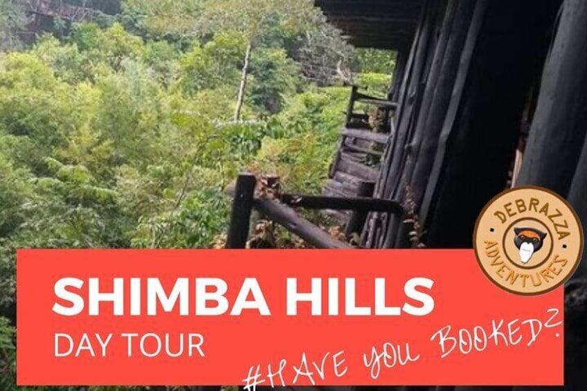 Explore Shimba Hills.