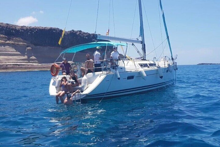 Whale and Dolphin Watching Yacht Trip in Puerto Colon