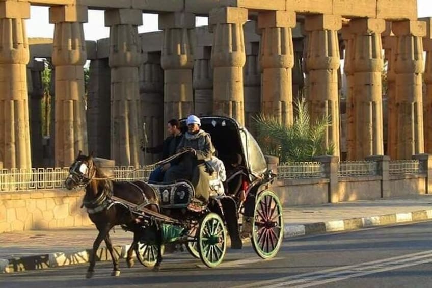 Karnak And Luxor Temples Private Tour