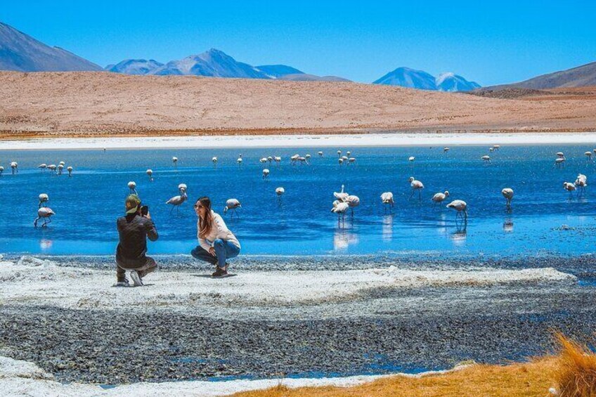 Uyuni Salt Flats 3 Days/ 2 Nights with English Speaking Guide