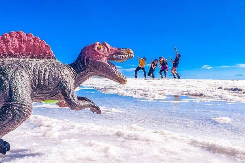 Uyuni Salt Flats 3 Days/ 2 Nights with English Speaking Guide