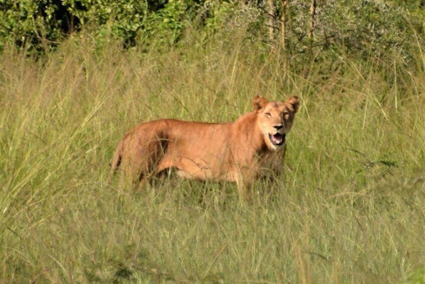 Eziketours.com