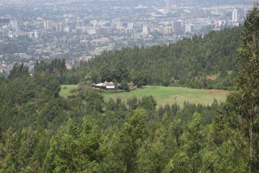 Entoto Mountain From Addis Ababa