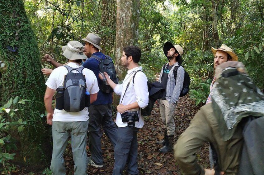 Regional Cruise in the Amazon