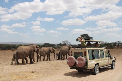 4天Tarangire Serengeti Ngorongoro火山口