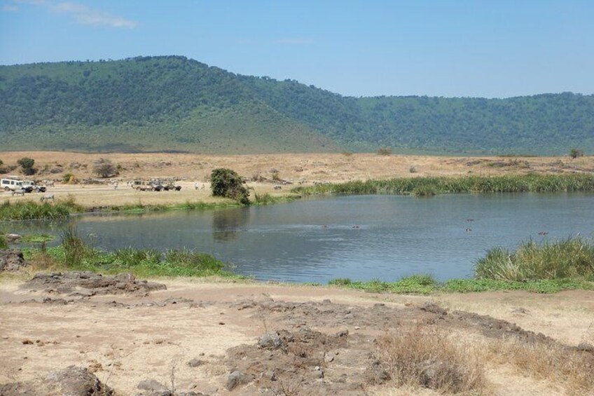 Inside the amazing Ngorongoro crater