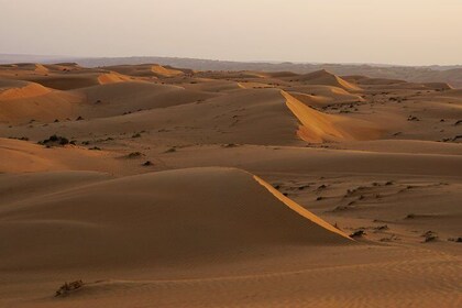 Sharqiyah Desert Safari