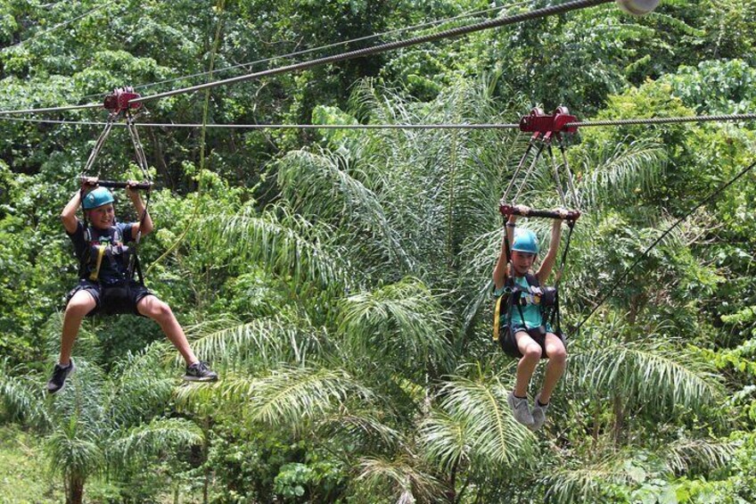 St. Kitts Zipline Experience