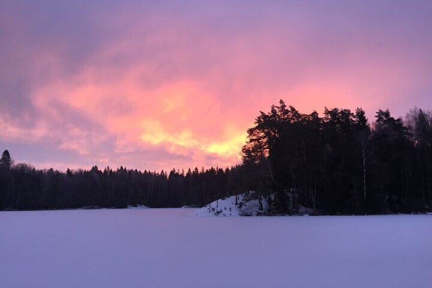 Morning Hike in Nacka Nature Reserve