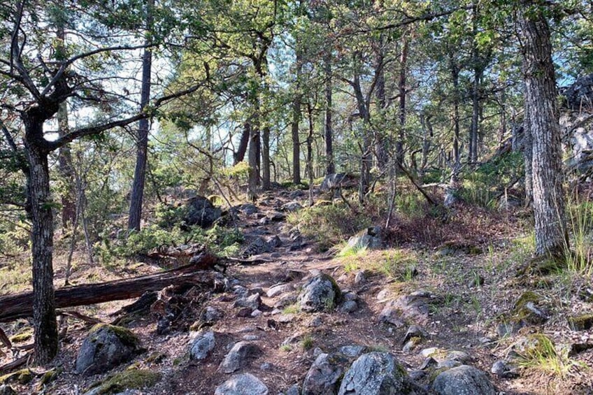 Hiking in Nature Reserve Stockholm