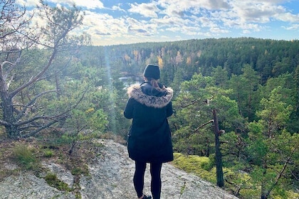 Stockholm: Nature Reserve Hiking Tour with Campfire Lunch