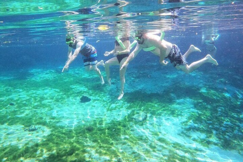 Swimming inside of Three Sisters Springs